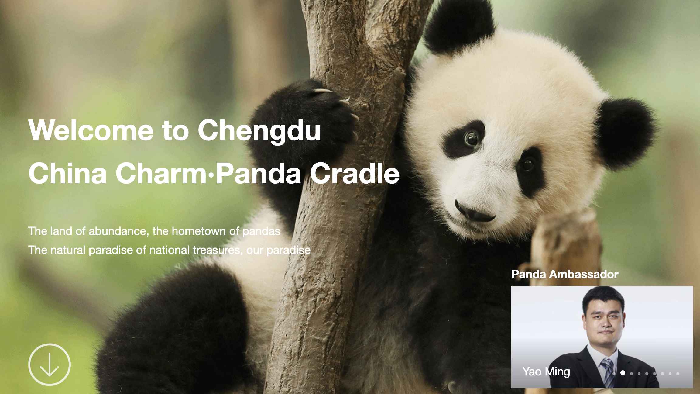 Chengdu Local Travel Guide – integrates a bustling metropolis with natural scenery